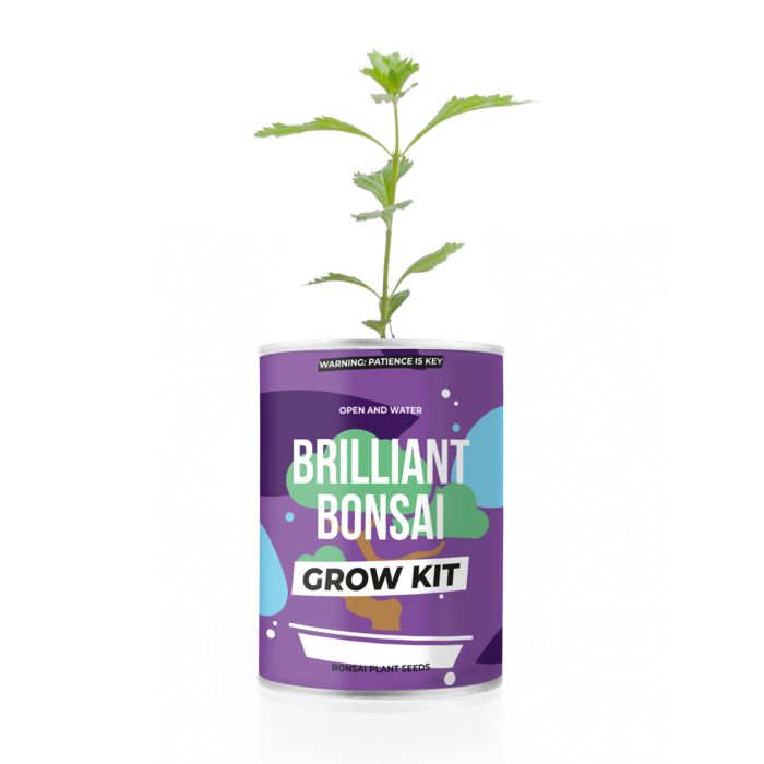 Brilliant Bonsai Grow Kit