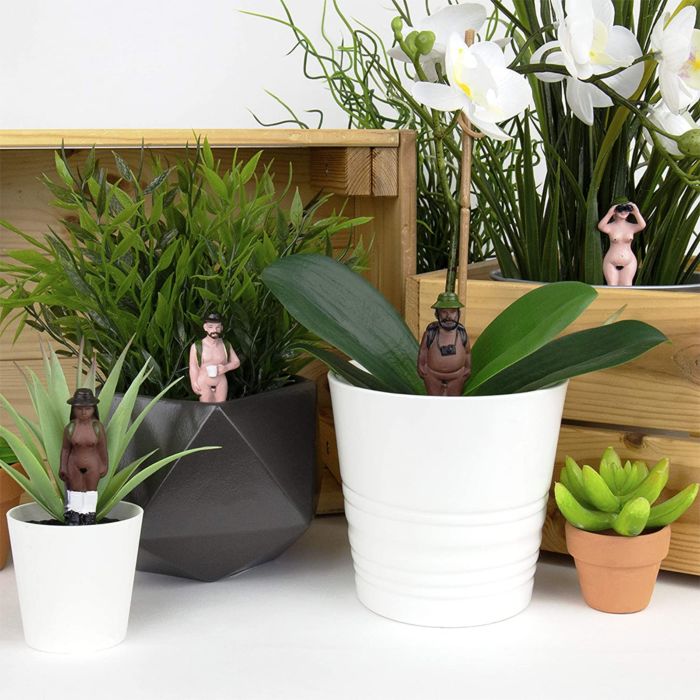 Naked Ramblers Mini Planters