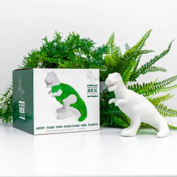 Chia Saurus Planter