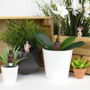 Naked Ramblers Mini Planters