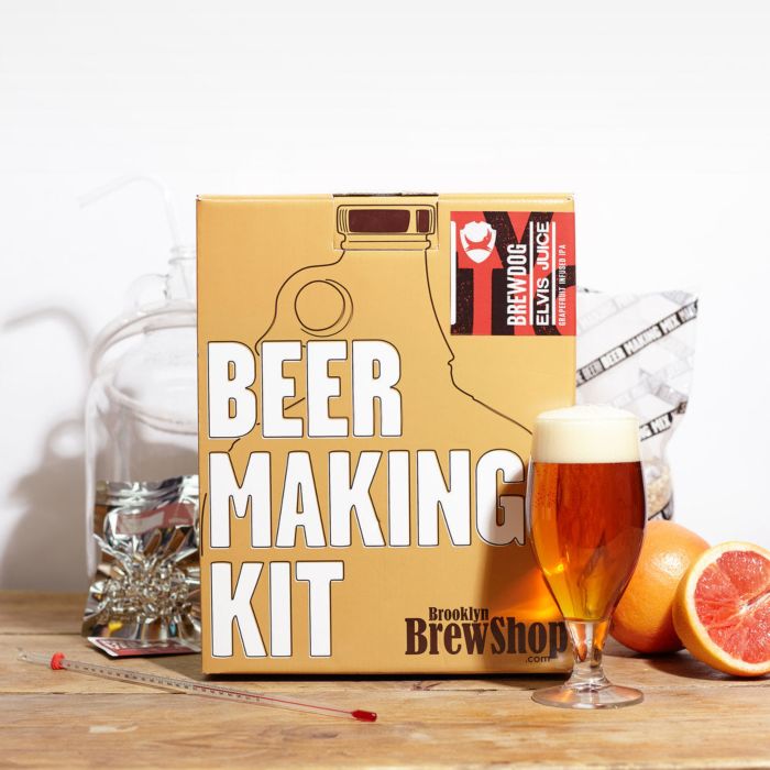 Gifts for Boyfriends Brewdog Beer Making Kit